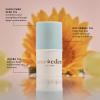 imageEvereden Dry Relief DUO  Face Cream 17oz ampamp Lip Balm 013oz  Clean Vegan ampamp Easy to Use Toddler Chapstick ampamp Baby Cream Bundle for Deep Soothing Hydration  NonGreasy ampamp FragranceFreeBaby Lip Balm