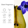image:imageEvereden Darling Hair amp Body Fragrance Mist  Tinted Lip Oil Set Teens  DermatologistTested LongLasting Strawberry Rose amp Vanilla Scent  Tinted Lip Gloss Moisturizes Dry Lips Sunflower OilMist Trio