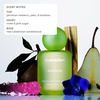 image:imageEvereden Darling Hair amp Body Fragrance Mist  Tinted Lip Oil Set Teens  DermatologistTested LongLasting Strawberry Rose amp Vanilla Scent  Tinted Lip Gloss Moisturizes Dry Lips Sunflower OilSupernova