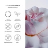 image:imageEvereden Darling Hair amp Body Fragrance Mist  Tinted Lip Oil Set Teens  DermatologistTested LongLasting Strawberry Rose amp Vanilla Scent  Tinted Lip Gloss Moisturizes Dry Lips Sunflower OilDarling  Lip Oil pink